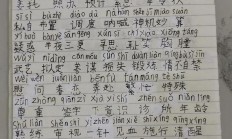 摘抄拼音（摘抄怎么写）
