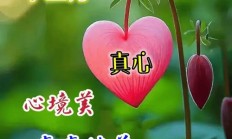 最火最好的早上好图片（最火最好的早上好图片不带字）