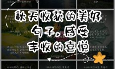 形容收获颇丰的句子（形容收获颇丰的四字词语）