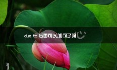 due to后面可以加句子吗（due to可以用在句末吗）
