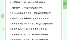 仿写句子是什么意思（仿照句子写一写是什么意思？）