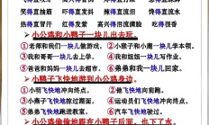 仿写句子是什么意思（仿写句子是什么意思一年级）