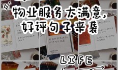 评价服务满意的句子（评价服务满意的句子10个字）