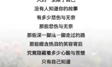 不属于自己的东西的经典句子（不属于自己的东西的经典句子图片）