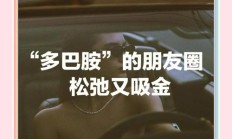 多巴胺的幽默句子（我需要点多巴胺的幽默句子）