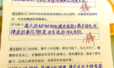 好像仿写句子（渐渐地好像仿写句子）