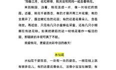 三年级下册第3课荷花小练笔（三年级下册第3课荷花小练笔怎么写仿写第二自然段）
