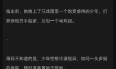 攻略病娇少年的小说（攻略病娇男主的正确姿势结局）