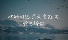 关于冲动的经典句子（关于冲动的警句）