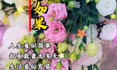 一花一世界唯美句子（一花一世界的唯美句子）