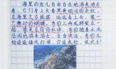 小鱼儿游来游去扩句一年级（小鱼儿游来游去仿写）