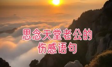 思念天堂老公的句子（思念亡夫最伤感的句子）