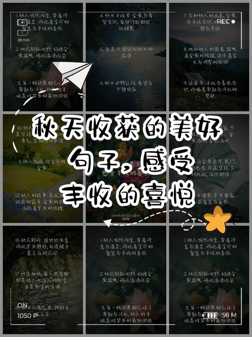 形容收获颇丰的句子（形容收获颇丰的四字词语）